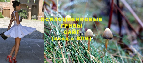 синтетический гашиш Медвежьегорск