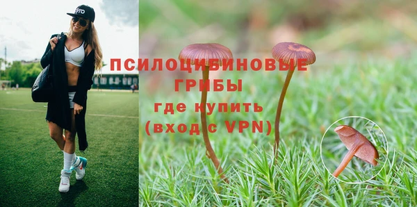 синтетический гашиш Медвежьегорск