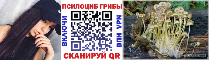 Псилоцибиновые грибы GOLDEN TEACHER закладки Томмот
